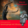 Was ist Simulation? Download