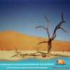 137. Radio Holiday Podcast Namibia Teil 2 Download