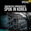 Nachts kann man hier Geister sehen? Koreas UNHEIMLICHSTE Spukhäuser | Crime Time SPECIAL Download