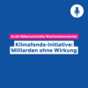 Klimafonds-Initiative: Milliarden ohne Wirkung – Wochenkommentar #109 Download