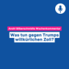 Was tun gegen Trumps willkürlichen Zoll? – Wochenkommentar #115 Download