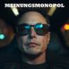 Elon Musk sagt: "Only the AfD can save Germany" Download