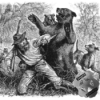 Der Revenant - Die wahre Geschichte von Hugh Glass (Minisode)
