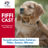 Es juckt schon beim Zuhören - Flöhe, Zecken, Würmer - beim Hund Download