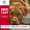Barf-Mythen: Was stimmt wirklich? Download