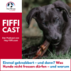 Einmal geknabbert – und dann? Was Hunde nicht fressen dürfen – und warum Download