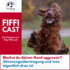Machst du deinen Hund aggressiv? Stimmungsübertragung und was eigentlich dran ist Download