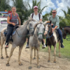 E85 - Gestrandet in der Linton Bay in Panama Download
