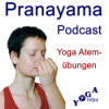 90 Minuten Intensives Pranayama gefolgt von 15 Minuten Meditation Download