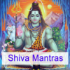 Jaya Shiva Shankara mit Vallabha