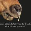 #85 Husten ist ein Symptom, keine Krankheit