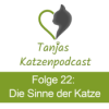 Die Sinne der Katzen Download