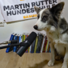 Folge 5: Hundespiel Download