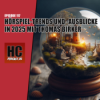 Episode 117: Hörspiel-Trends und -Ausblicke in 2025 mit Thomas Birker Download