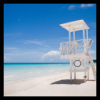 Freiwasser ohne Baywatch - Darauf darfst Du achten - MTP Folge 148 Download