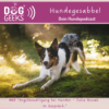 #68 DogGeeks-Hundegesabbel „Angstbewältigung bei Hunden - Julia Nowak im Gespräch.” Download