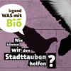 47 - Wie können wir den Stadttauben helfen? Download