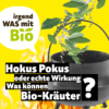 50 - Hokus Pokus oder echte Wirkung - Was können Bio-Kräuter? Download