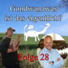 Folge 28: Gondwanawas ist das eigentlich? feat. Armin Schmitt Download