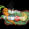 Radio Pinneberg April 2025