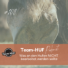 Folge 108: Was an den Hufen NICHT bearbeitet werden sollte Download