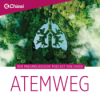ATEMWEG Podcast Spezial: WeACT Con 2025 Download