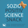 #43 Science Snack: Besser lernen durch Spiel?