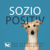 #44 Sommer mit Hund – mit Stacy de Motte