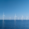 "Der Bau von Offshore-Windparks rechnet sich nicht mehr" - Karina Würtz (Stiftung Offshore) Download