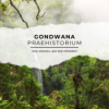 Vom Urknall bis zur Steinzeit: Abenteuer im Gondwana Praehistorium Download