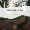 Der Reinhardswald: Wo Märchen zum Leben erwachen Download