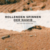 Die rollenden Spinnen der Namib: Ein Tanz der Evolution Download