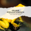 Der Gelbe Pfeilgiftfrosch – Klein, schön und tödlich Download