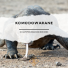 Komodowarane: Die letzten Drachen der Erde Download