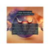 Stier Horoskop für den Samstag, 30. November 2024: Download