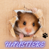 Hamster