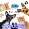 Haustierquiz