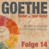 Goethes Faust erklärt in den Dingen