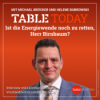 Ist die Energiewende noch zu retten, Herr Birnbaum? Download
