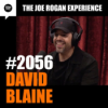 #2056 - David Blaine Download