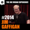 #2014 - Jim Gaffigan Download