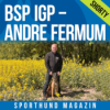 Shorty: BSP IGP – Andre Fermum