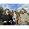 Schreiben auf Mallorca - Jürgen Pomorin Download