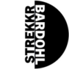 Intro: STREKKR BARDOHL Download