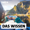 TikTok-Tourismus – Wie Reise-Influencer unseren Urlaub prägen Download