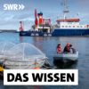 Geoengineering im Meer – Mit Mineralien gegen den Klimawandel? Download