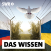 Die neuen Kriege und ihre tieferen Ursachen Download