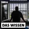 Psychisch krank im Gefängnis – Wie Therapien Suizide und Rückfälle verhindern könnten Download