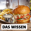 Wie krank macht Fast Food? – Hochverarbeitete Lebensmittel in der Kritik Download