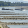 Der Rhein erwärmt sich stetig – schlecht für Fische und Schifffahrt Download